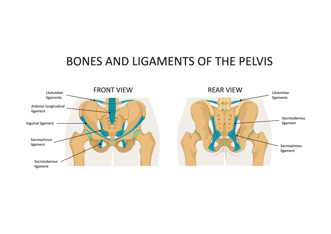 Pelvic Health Physiotherapy Everything You Need to Know